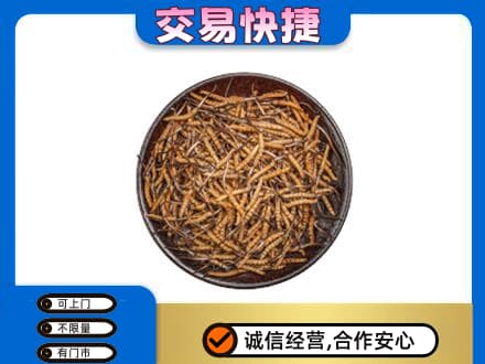 哈尔滨南岗回收散虫草